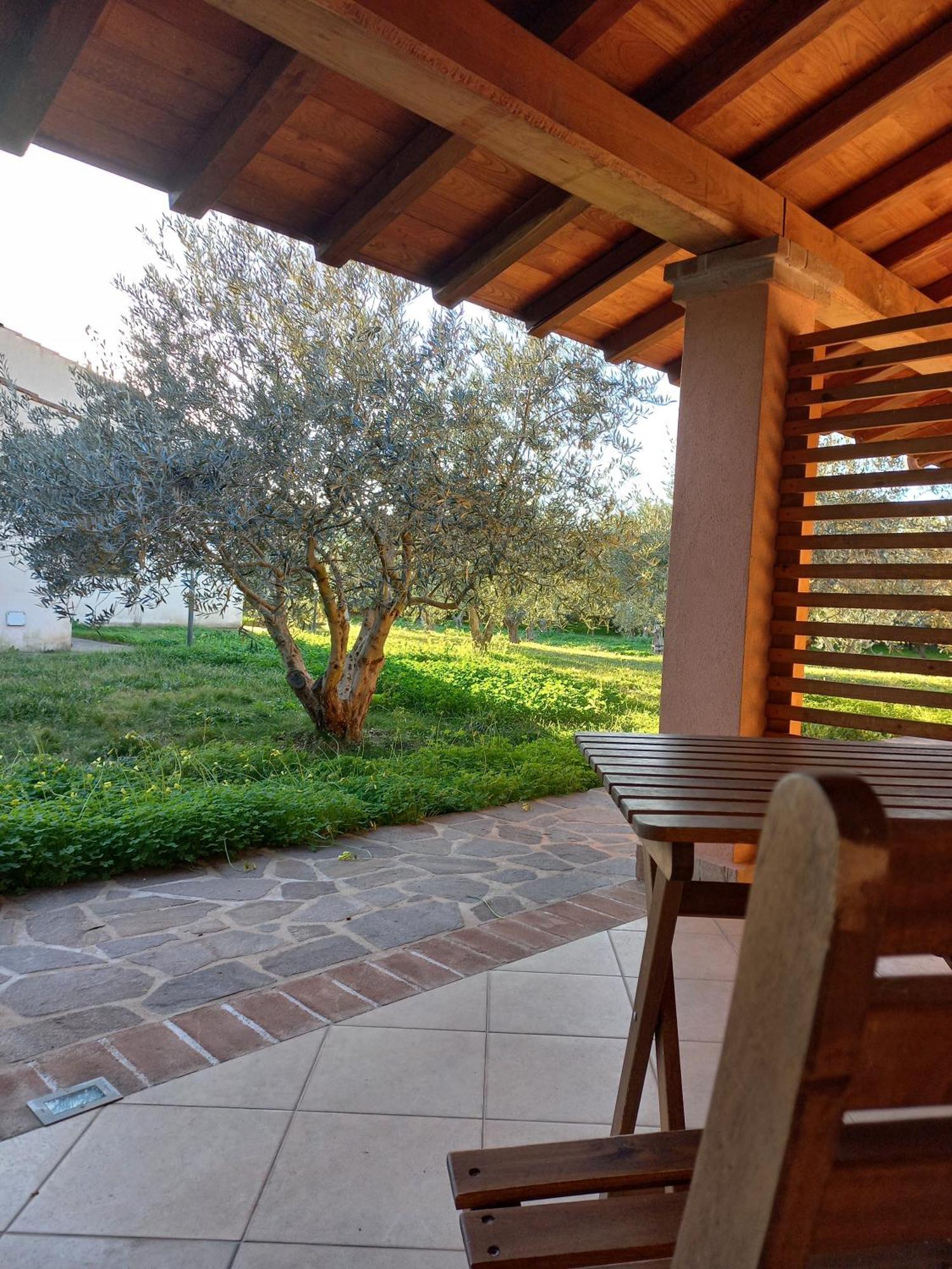 Agriturismo Villa Degli Ulivi San Vero Milis Buitenkant foto