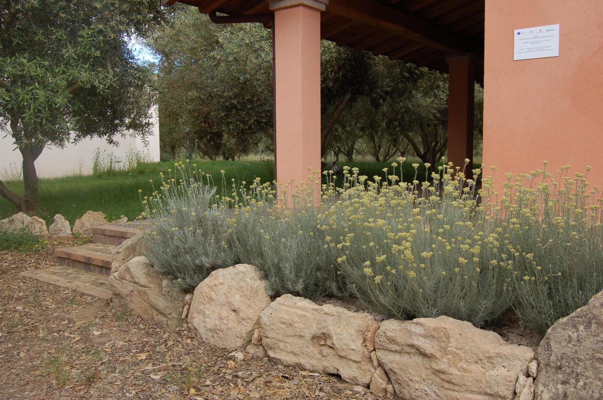 Agriturismo Villa Degli Ulivi San Vero Milis Buitenkant foto